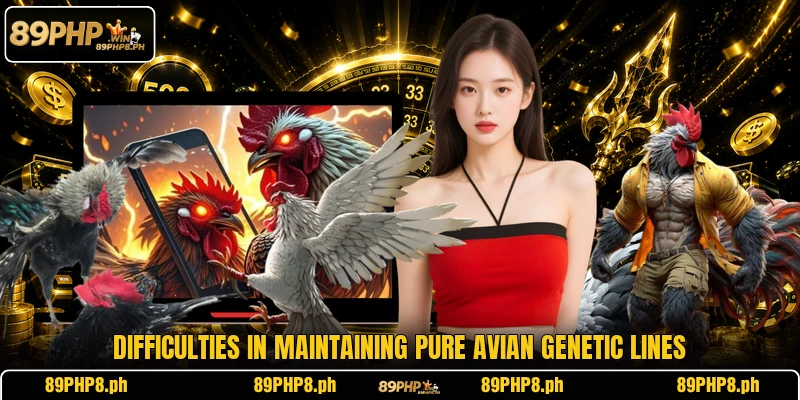 Difficulties in maintaining pure avian genetic lines