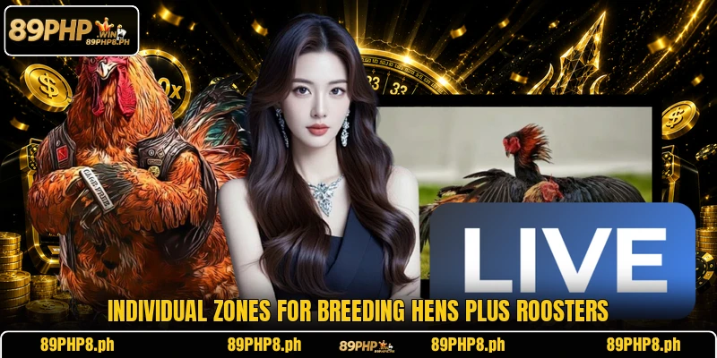 Individual zones for breeding hens plus roosters