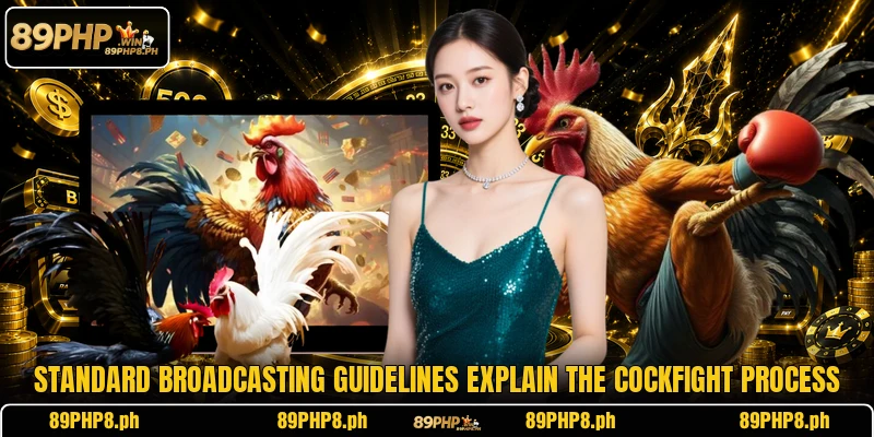 Standard broadcasting guidelines explain the cockfight process